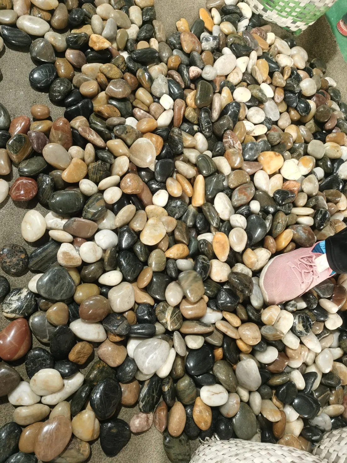 Natural Brown Red Black Grey White Pebble Stone Mixed Color for Decoration