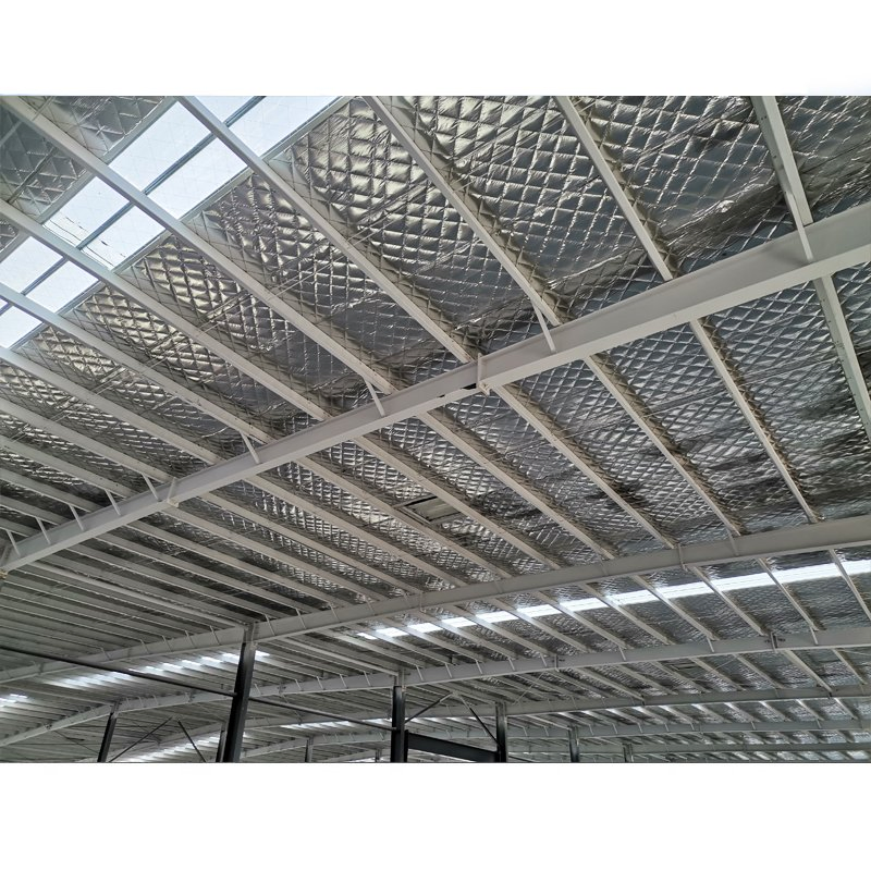 Steel Metal Building Shed Residential Garage Workshop