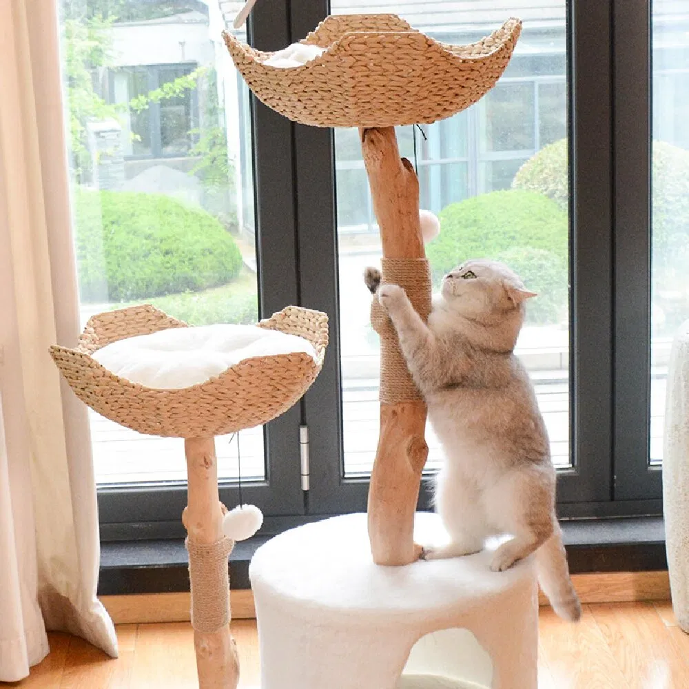 Luxurious Solid Wood Cat Tree with Integrated Scratching Post