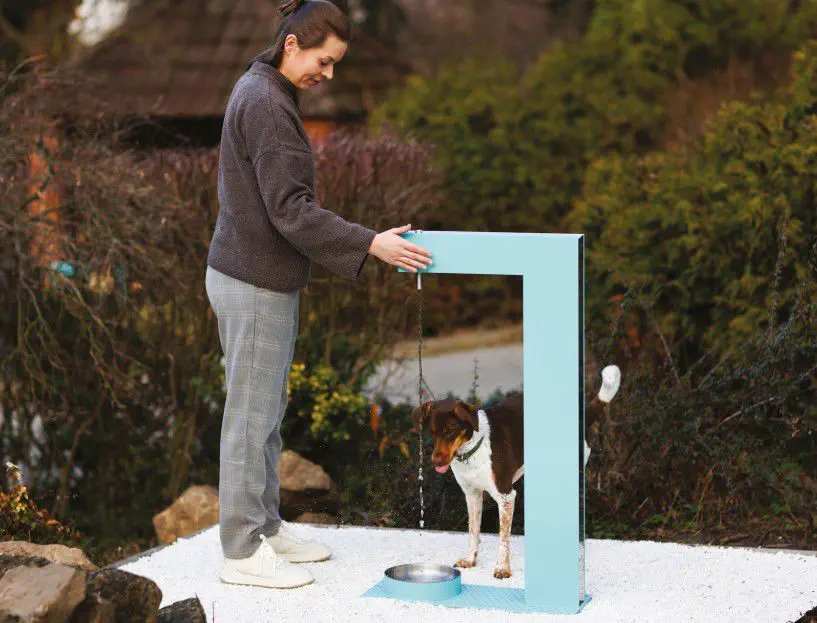 Public Outdoor Doggy Drinking Fountain