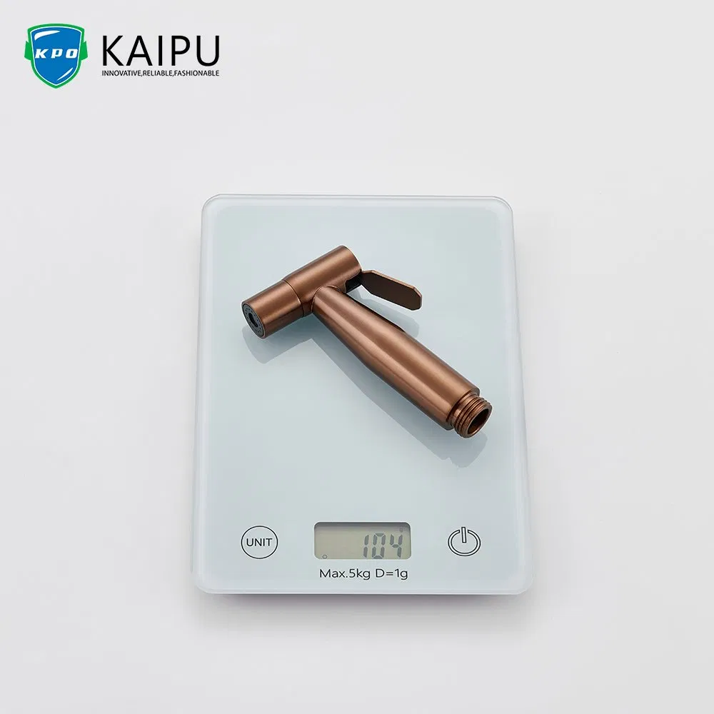 Bidet Set Spray Gun Healthy Faucet