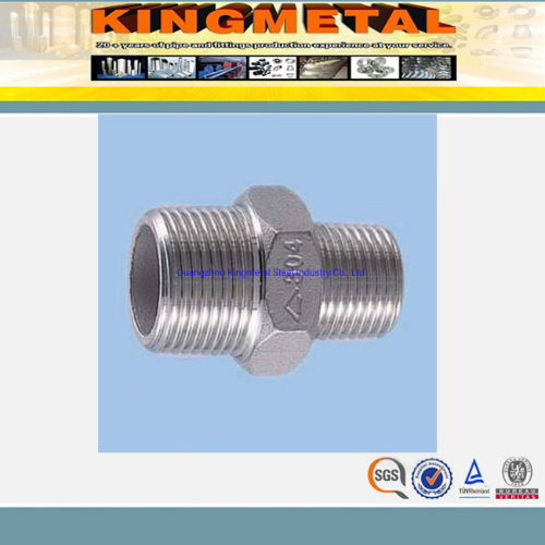 3000lbs B16.11 Seamless Ss304 Sch80 Pbe Nipple