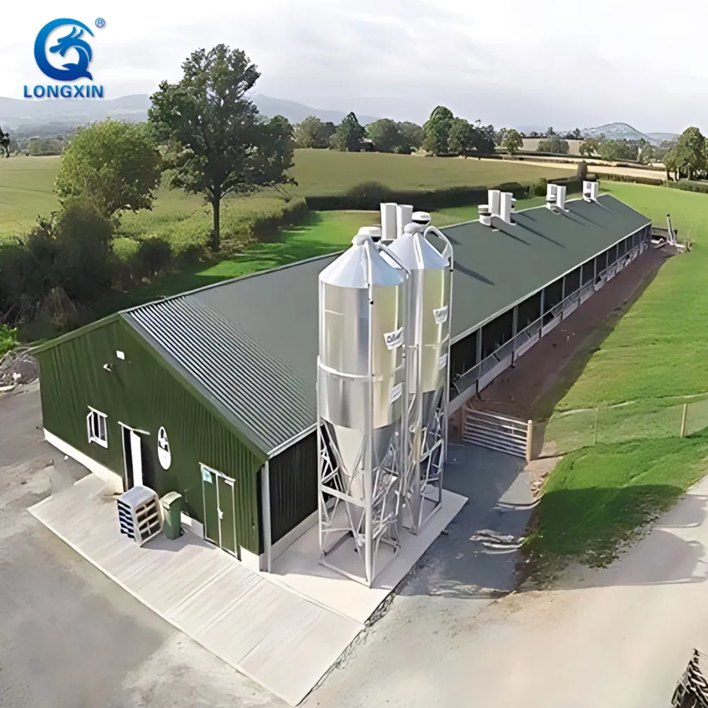 Steel Structure Chicken House Egg Laying Hens Chicken Coop Farm Small Chicken Poultry with Low Price