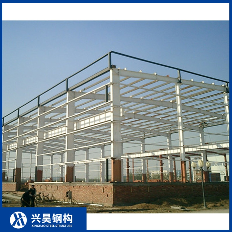 Agricultural Storage Facilities Using Prefabricated Steel Structure Buildings Workshops Warehouses with Steel Frames