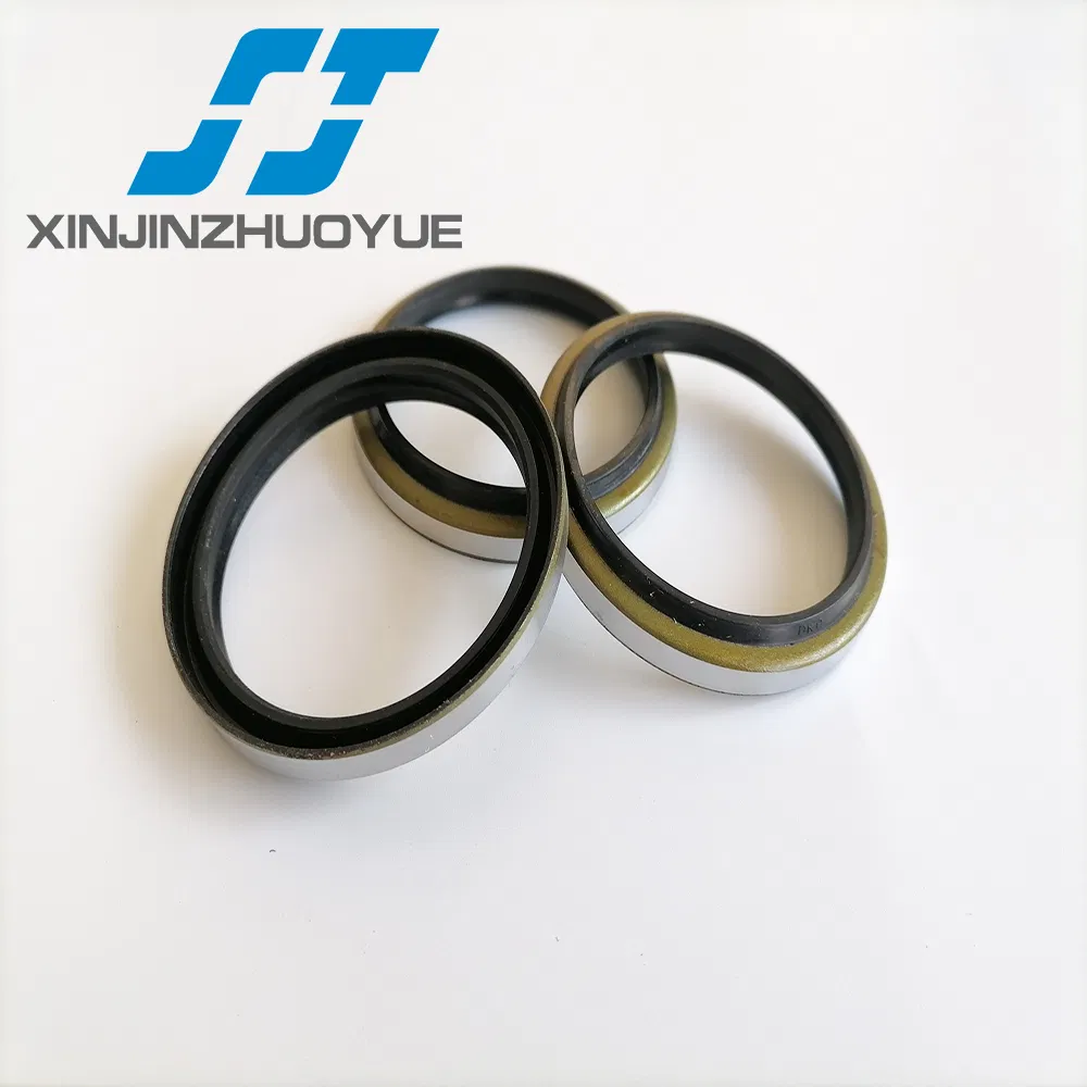 Sj Brand Hydraulic Dkbi, Dkb, Dkbz, Dli, Ga, Vay Metal Dust Seal and Wiper Seal