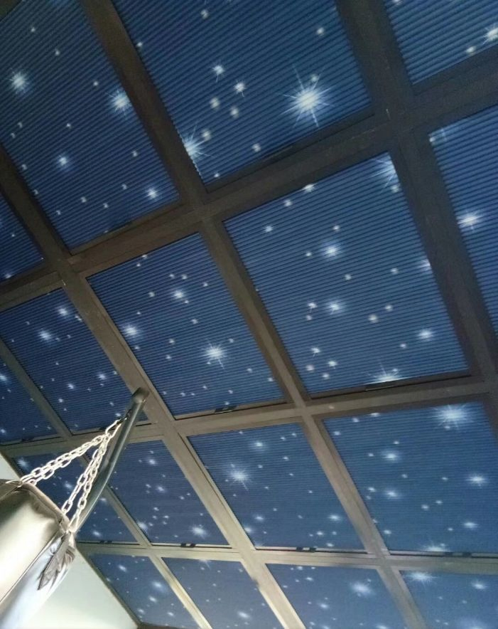 Modern Motorised Honeycomb Skylight Blinds Sunshade Anti-Insect Door Window Roof Windows Made Durable Aluminumstainless Steel Sunshade