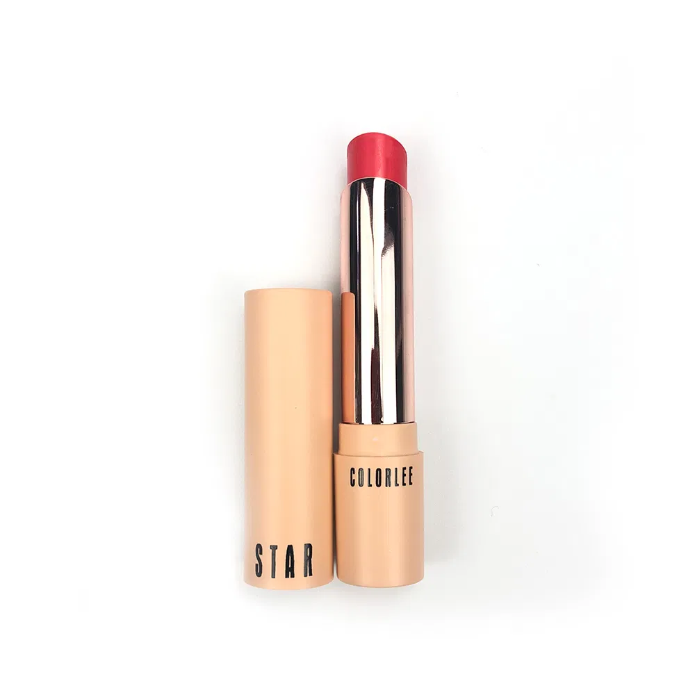Moisturizing Lipstick Waterproof Lip Stick Long Lasting