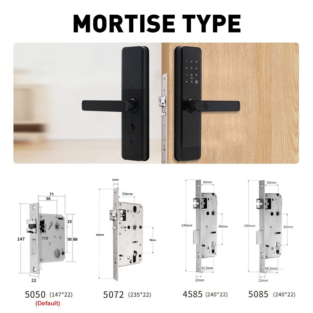 Electronic Smart Door Lock Handle Tuya Smart Lock