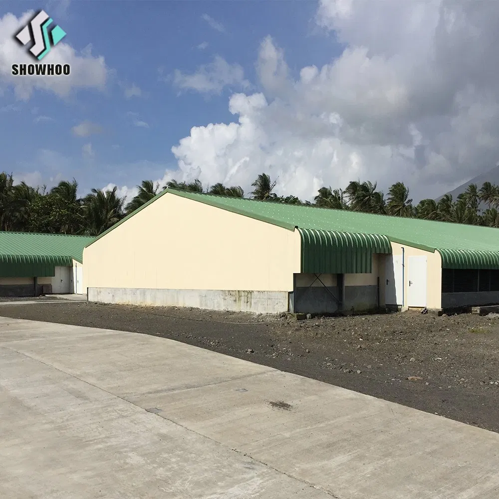 Durable and Cheap Poultry Chicken Farm Equipment with Factory Design