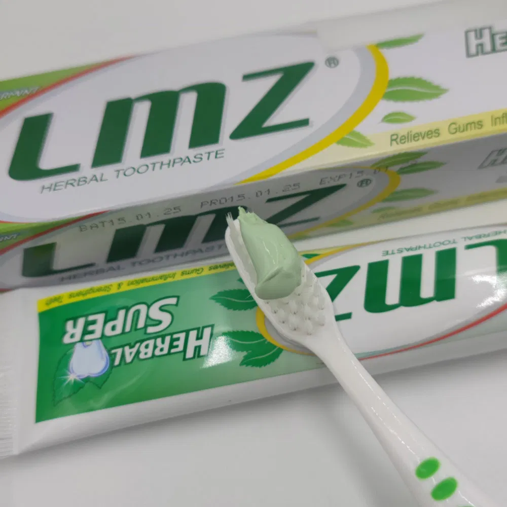 Comfortable Gum Care Mint Herbal Chemical-Free Toothpaste for Dental Health