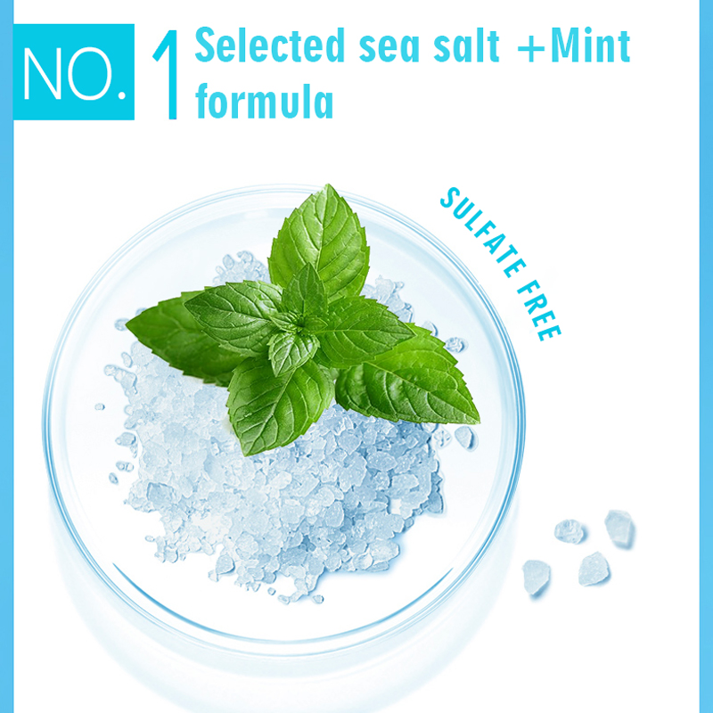 Private Label Scalp Sea Salt Mint Anti-Dandruff Hair Treatment Shampoo Natural Coconut Oil Shampoo and Conditioner for Sensitive & Oil Scalp