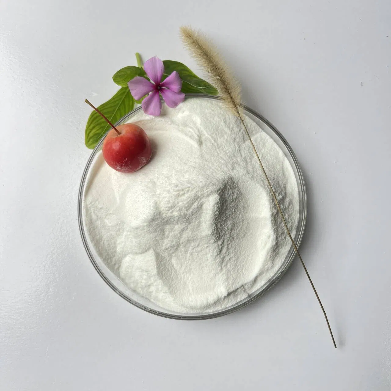 Specialized Production of High-Performance Polycarboxylate Superplasticizer Powder for Cement Mortar