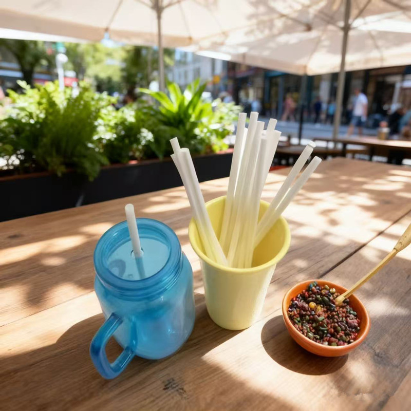 Eco-Friendly Single Stick Packaging Disposable Biodegradable environment Friendly Bio Pha Straw