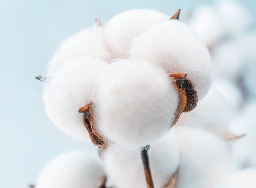 Baby Feeding Pillow, Newboarn Lounger