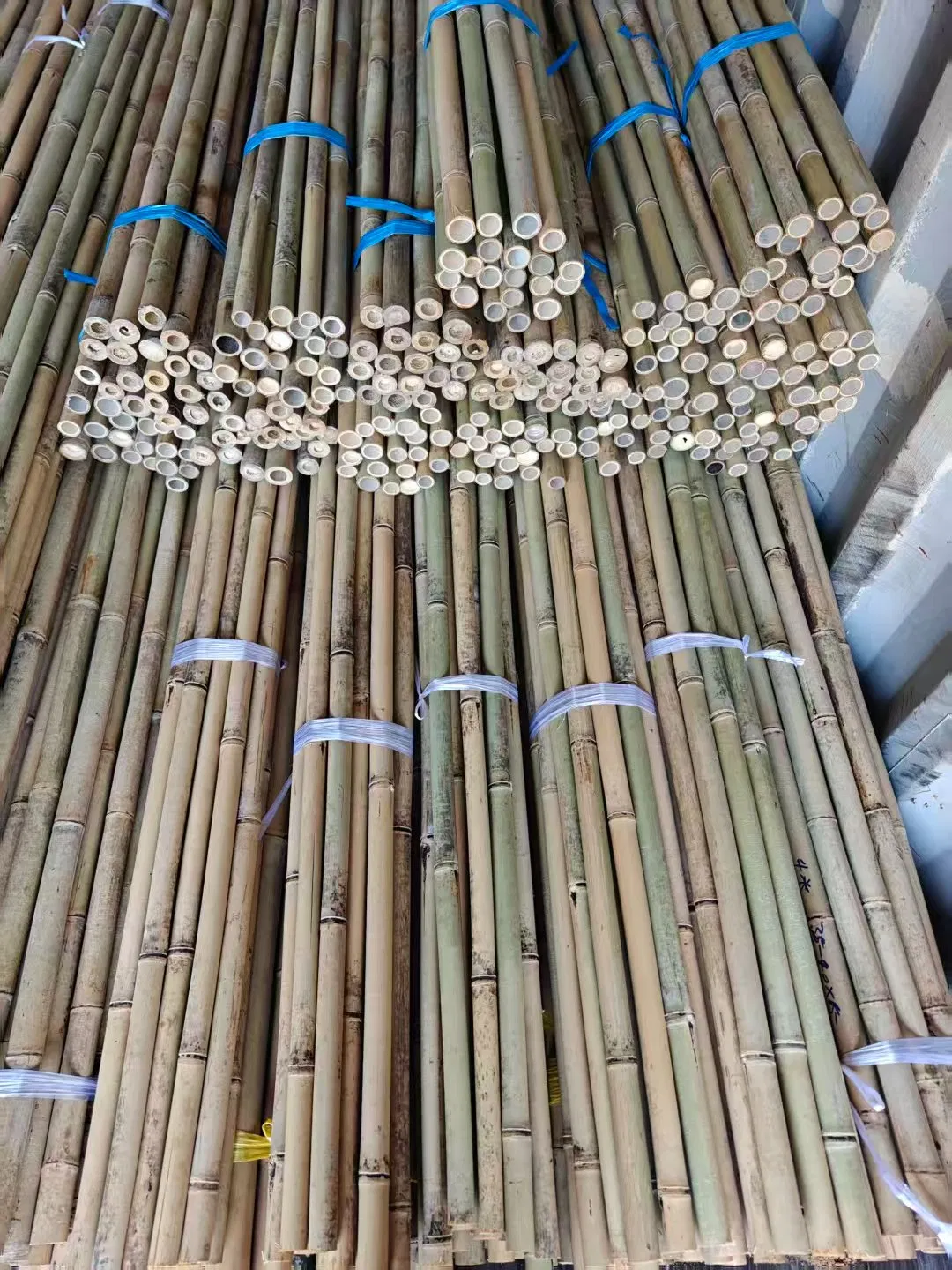 High Quality Nature Bamboo Cane Stake Dia. 35-40mm X 300cm for Plants Grow and Decorative