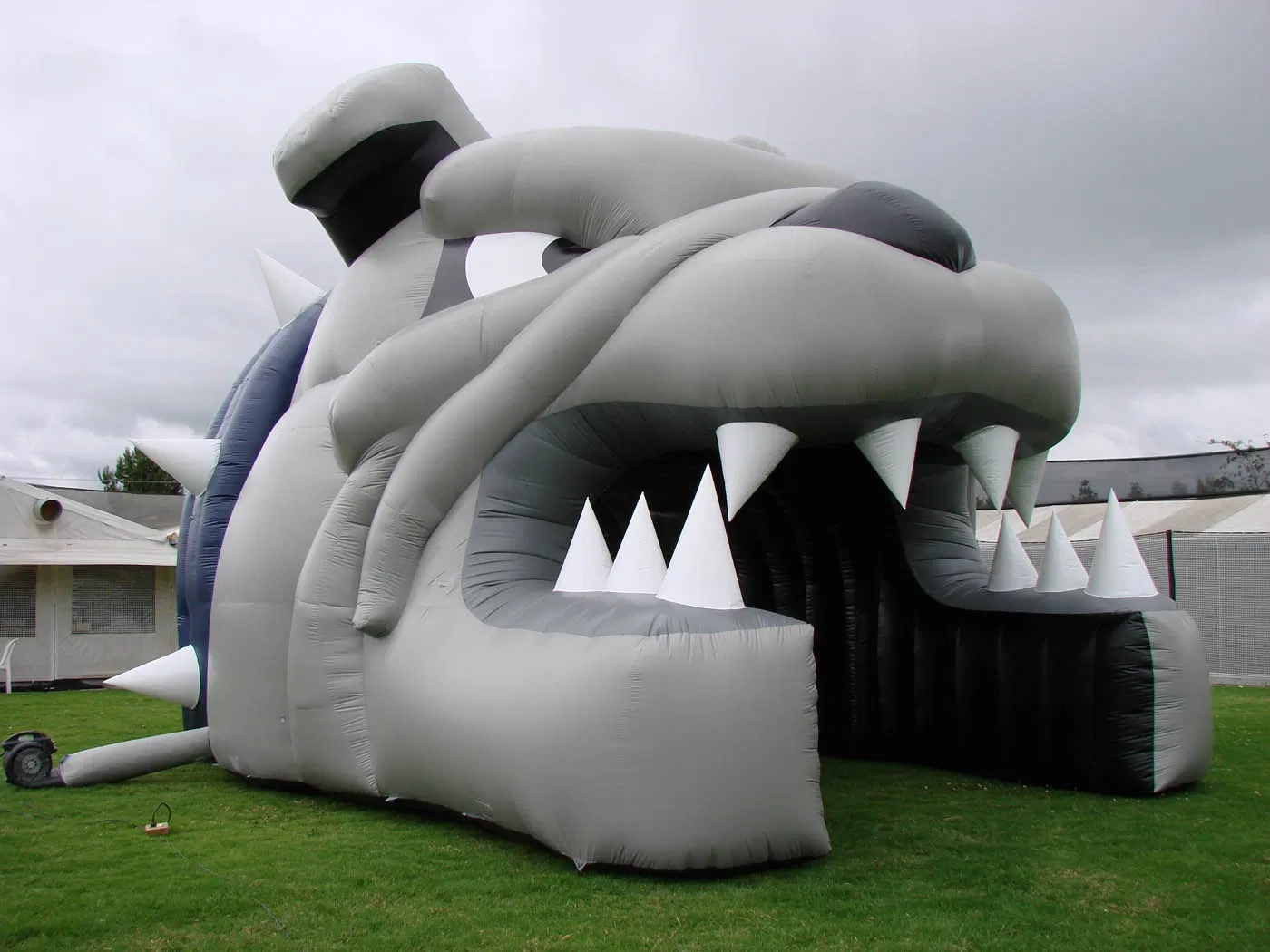2023 New Hot Sale Inflatable Bulldog Tunnel for Sports