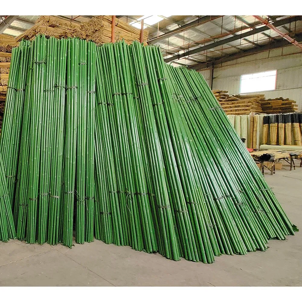 Factory Price Natural Raw Plastic Coated Tonkin Bamboo Poles for Grape Support