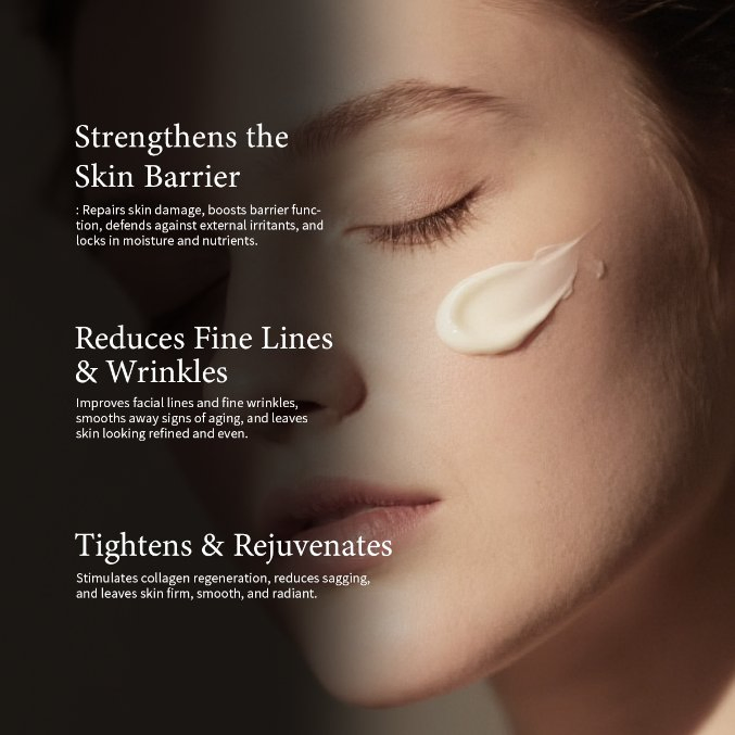 OEM/ODM Mature Skin Anti-Aging Specific Patented PRO-Xylane Bifida Ferment Lysate Complex Peptides Black Bandage Cream