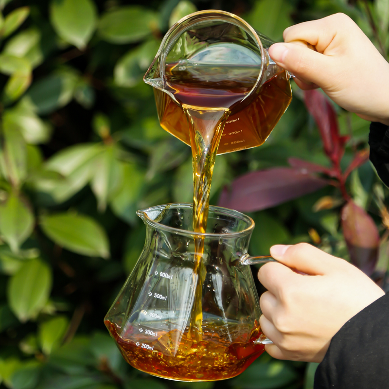 Premium Glass Pour Over Coffee Maker - Modern Design Sharing Brewer