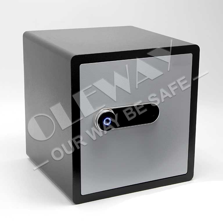 Large-Size Household High-Strength Biological Fingerprint to Unlock Anti-Theft Safe