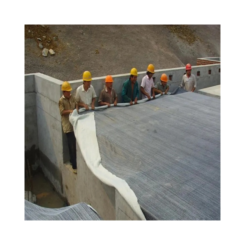 5000GSM HDPE Gcl / Geosynthetic Clay Liner Anti-Corrosion Waterproof