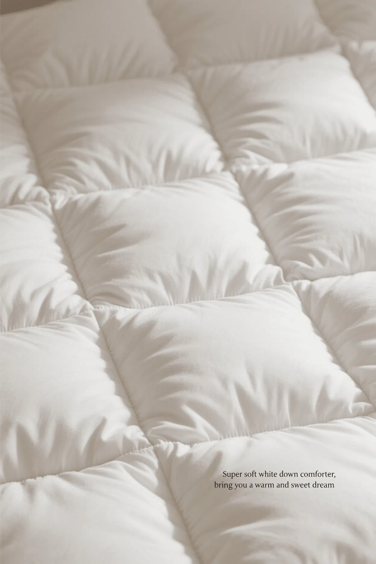 Cozy Luxe Fluffy Odor Free Comforter for Cozy Winter Nights