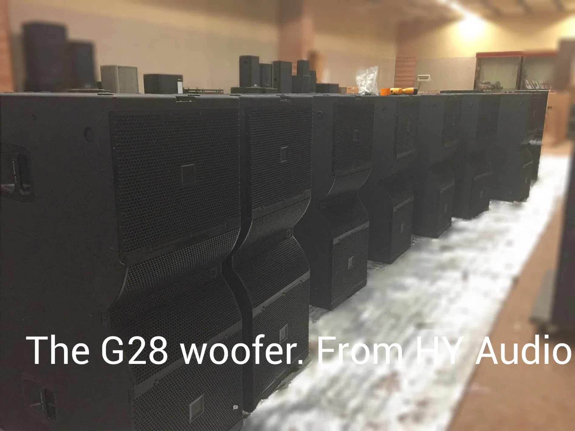 Vtx Line Array Dual 18 Inch Subwoofer Powerful Woofer G28 Loundspeaker Professional Speaker