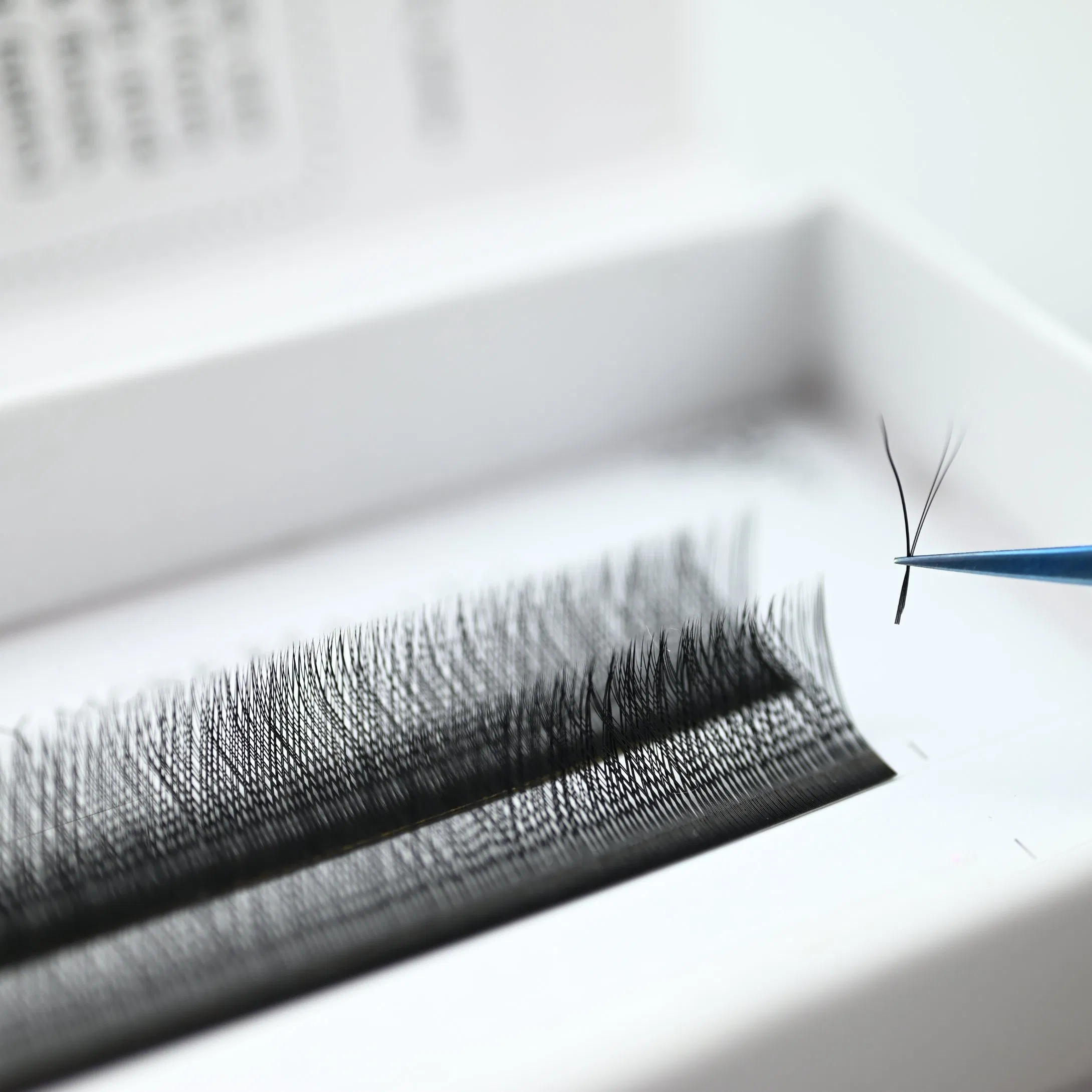Mtlashes China Wholesale Lashes Rapid Blooming Volume Clover Premium Eyelash Yy Lashes