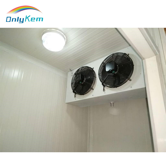 Cooling Room/Walk in Chiller for Food Processing Raw Poultry Storage Freezer