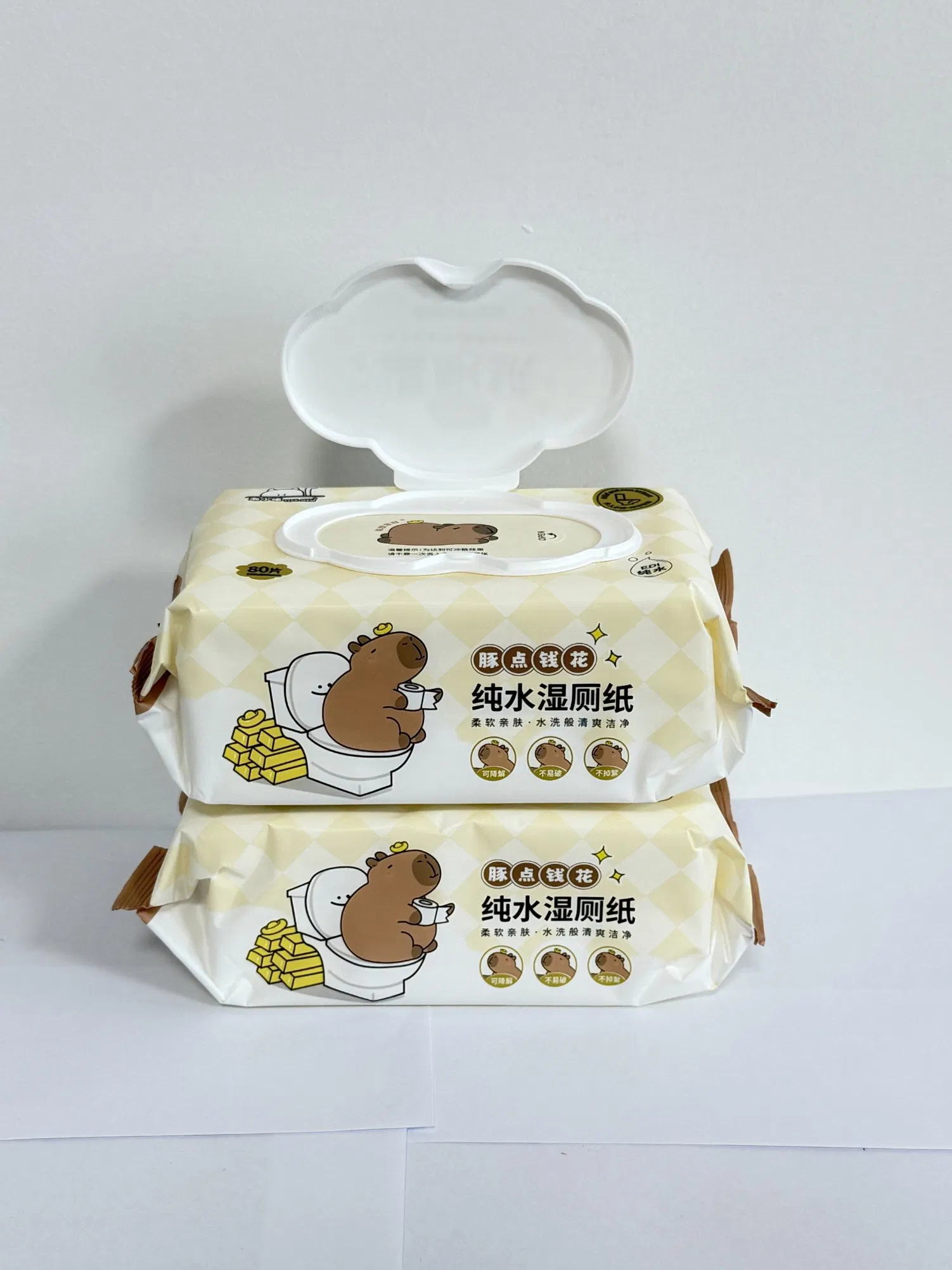 Eco Friendly Flushable Moist Toilet Wipes Supplier