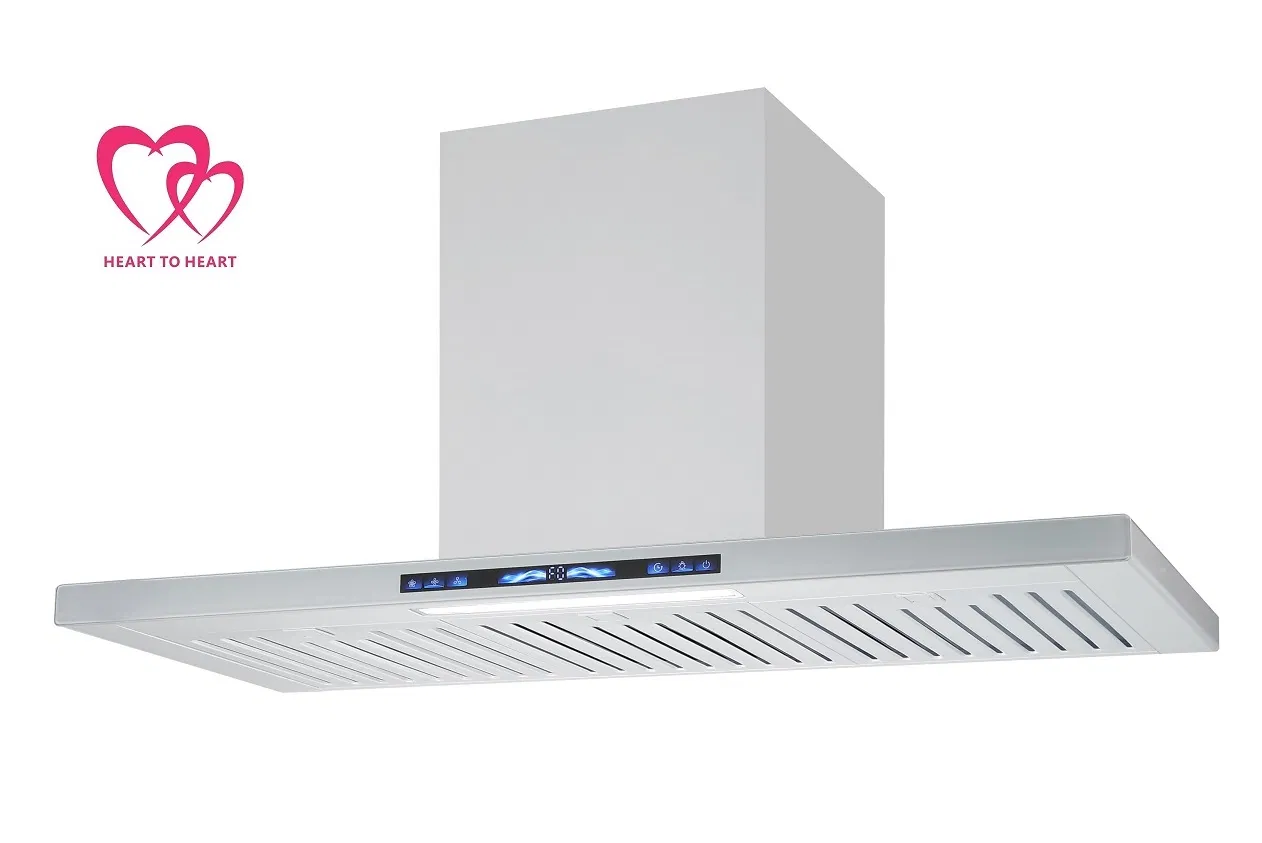 Kitchen Exhaust Chimney Extractor Wall Mounted Cabinet Stainless Steel Cooker Range Hood