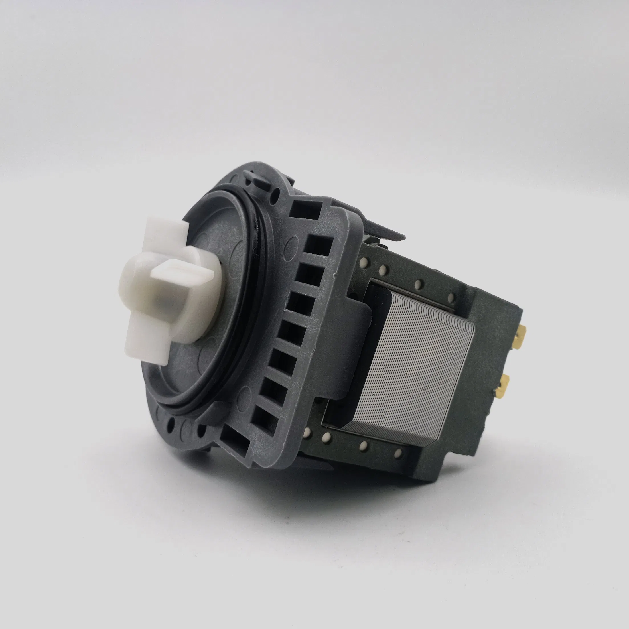 Ruijp High Quality 220V Washing Machine Drain Pump Washing Machine Motor