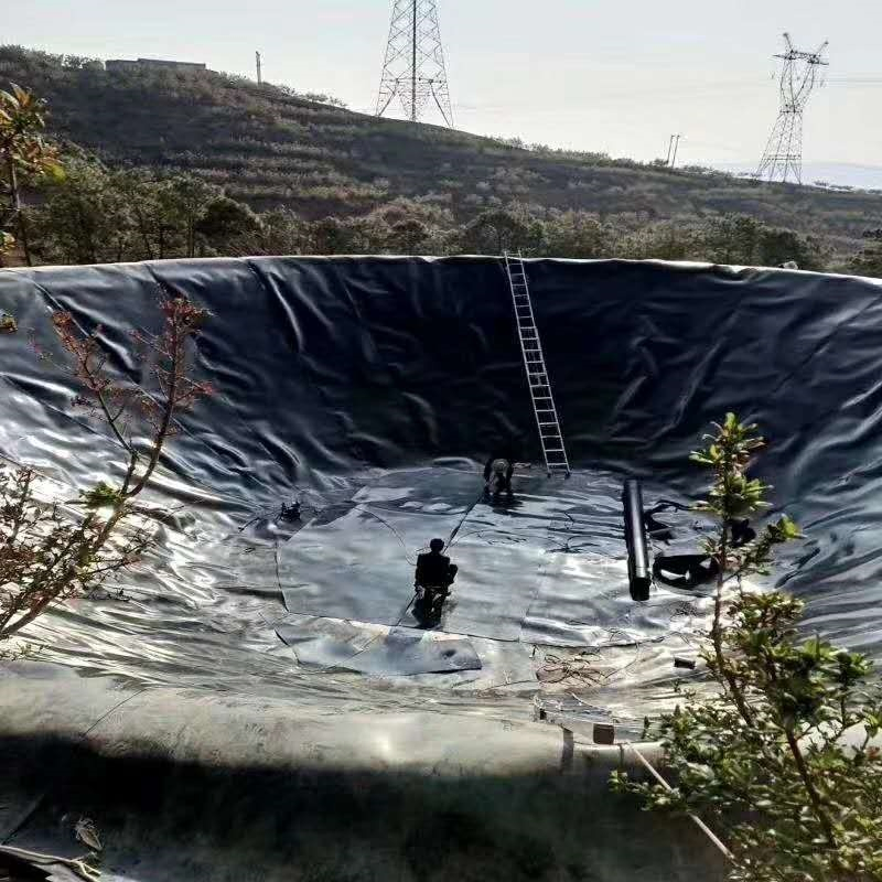 Versatile Fish Pond Liner Geomembrane with 0 14-3mm Thickness Options