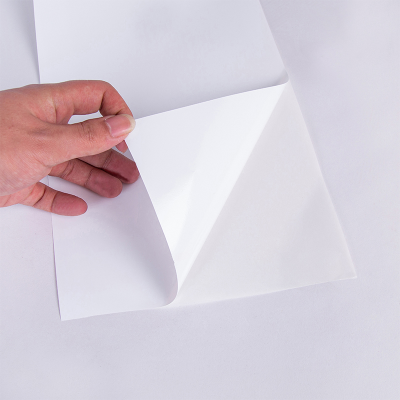Export Large Roll Self-Adhesive Material High Quality 120GSM Top Thermal Paper Self-Adhesive Label Sticker