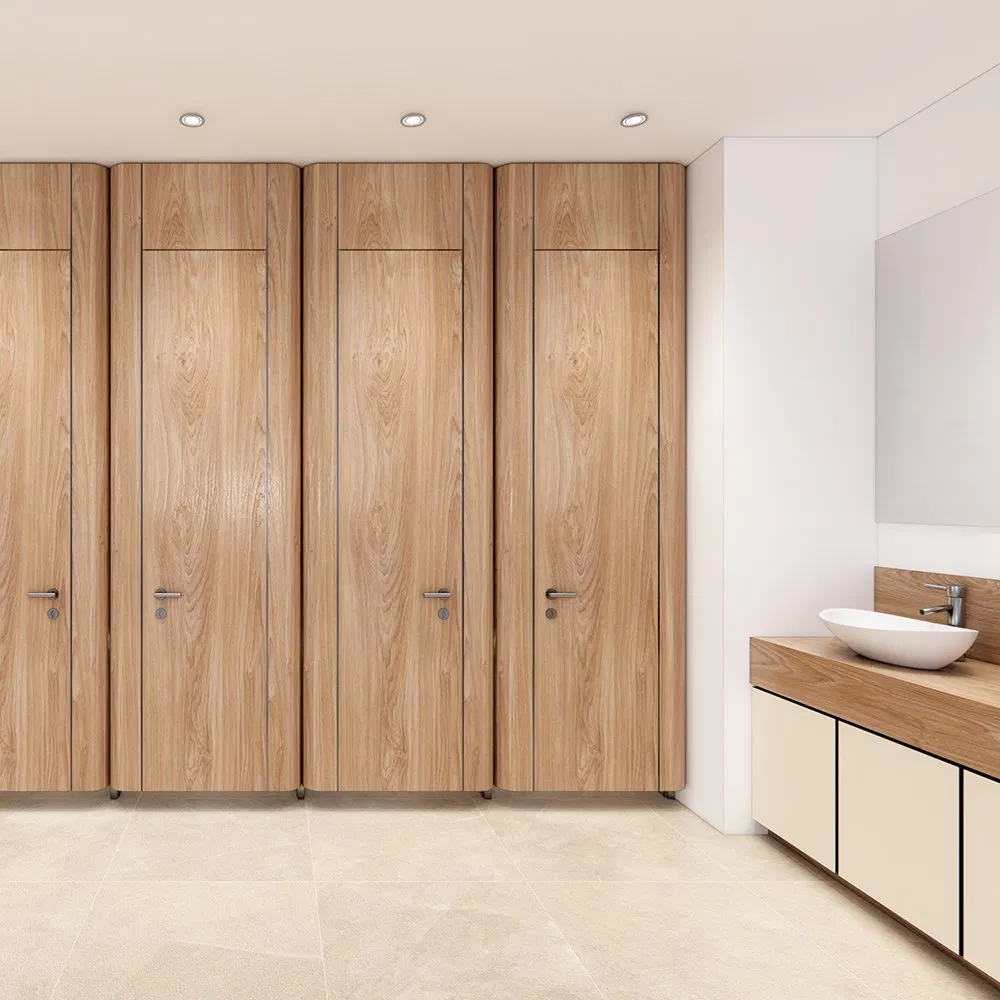 Compact Board Curve Design Wavy Cabin Toilet Partition for High-End Space