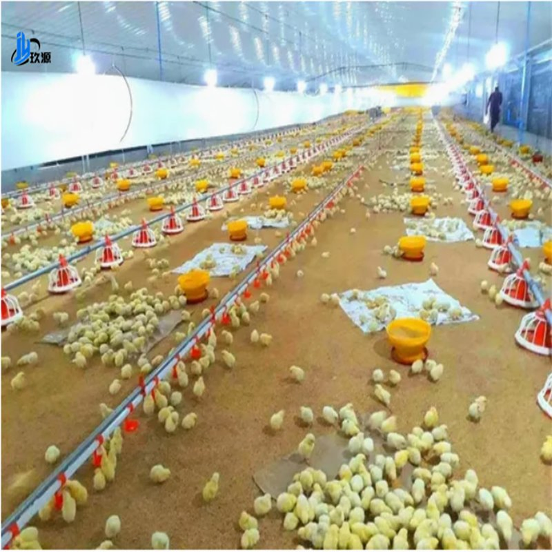 Professional Complete Set of Automatic Machine-Type Sandwich Panel Steel Structure Chicken Coop