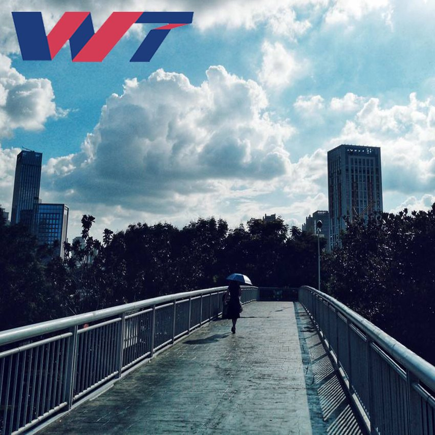 Steel Structure Steel Welded Bridge, Platform Bridge for Sale