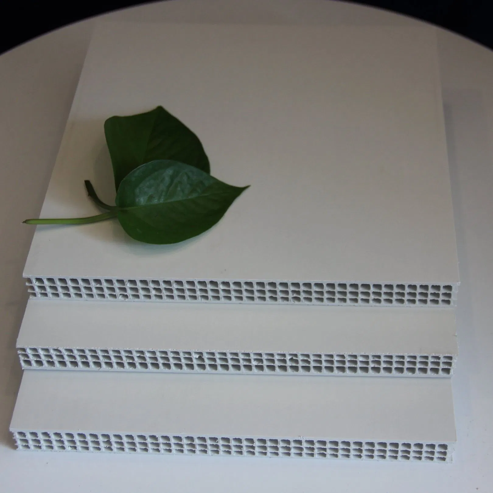 China Manufacturer PP Hollow Construction Board