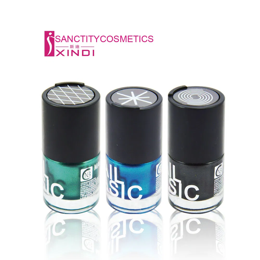 Hot Selling Magnetic Nail Polish Nail Varnish