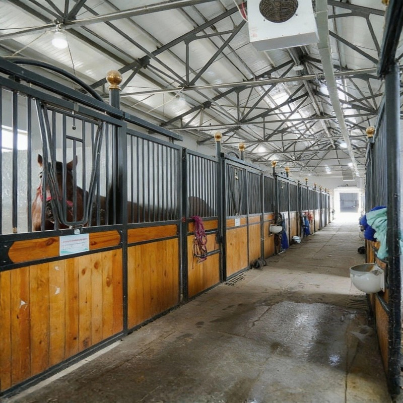 Durable Galvanized Steel Livestock Poultry Sheds for Cattle, Chickens, Horses
