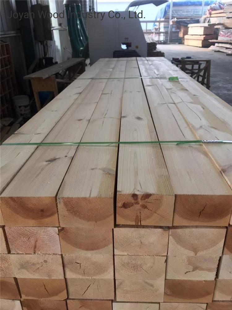 Poplar/Pine LVL Timber LVL with Factory Price