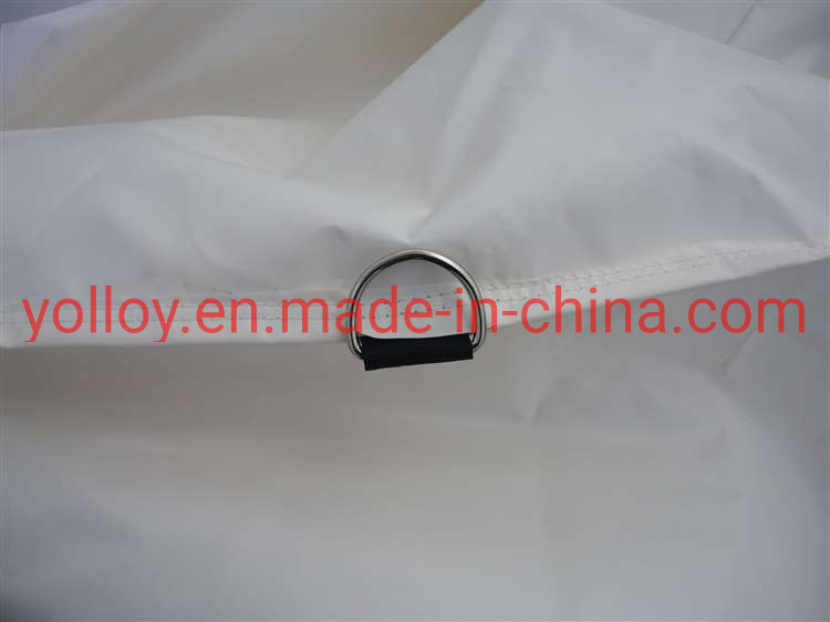 Customized High Quality Inflatable Party Tent in Tent