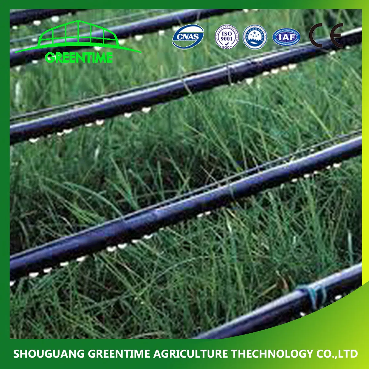 Manufacturer High Quality Drip Irrigatin Pipes for Agriculture Water Saving Irrigation System