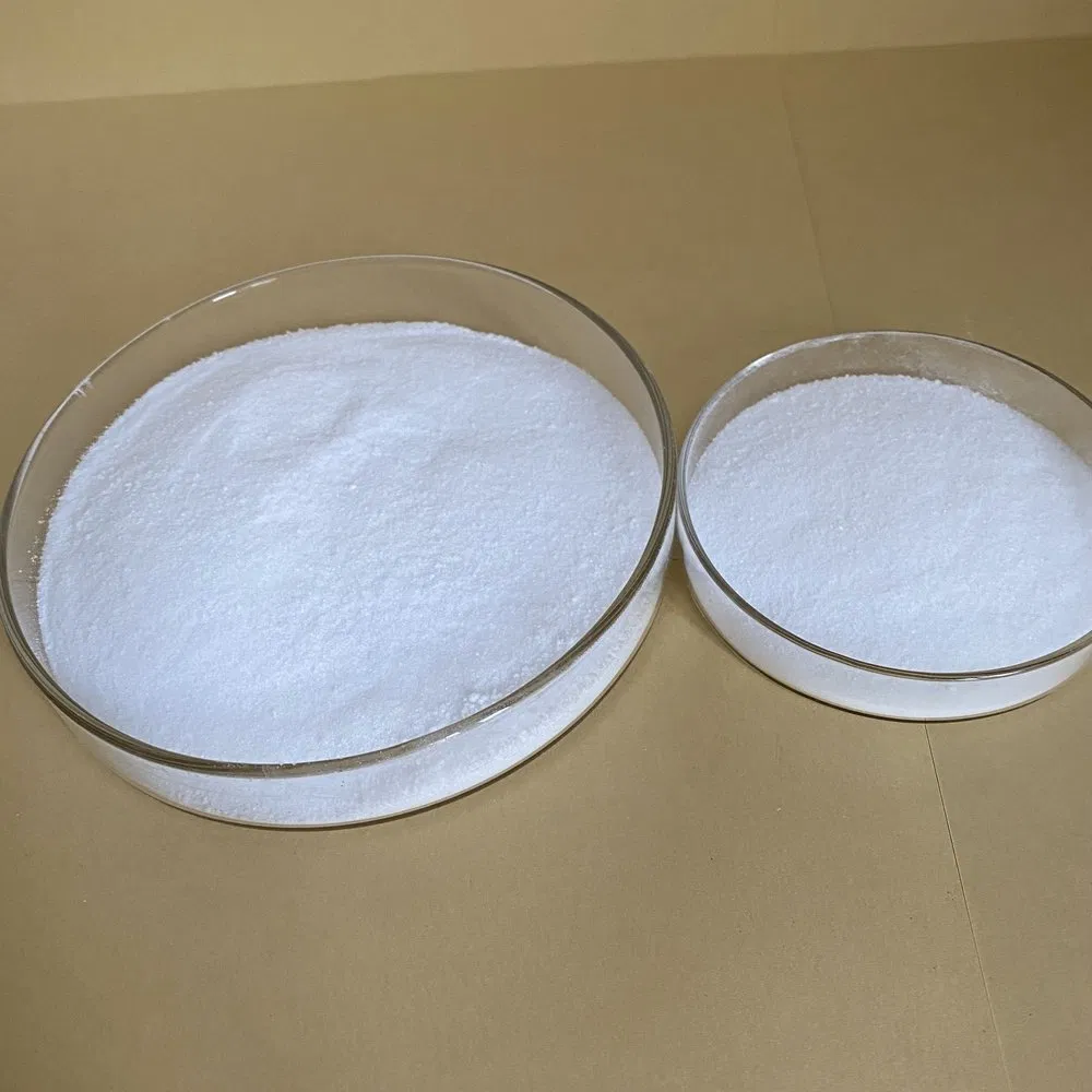 High-Grade Additive CAS 527-07-1 Sodium Gluconate for Enhanced Cement Performance Solutions
