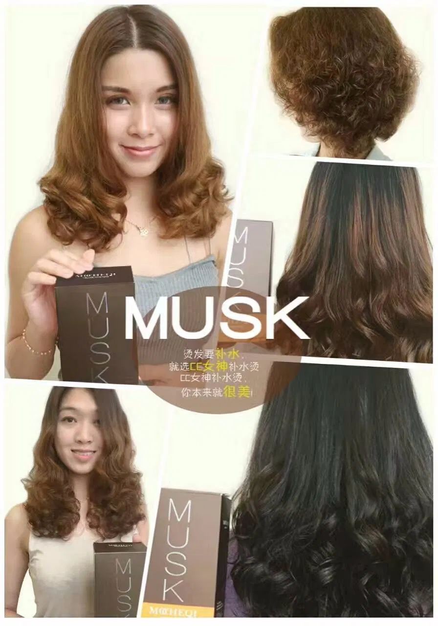 MOCHEQI Cold Wave Perm (Aqua)