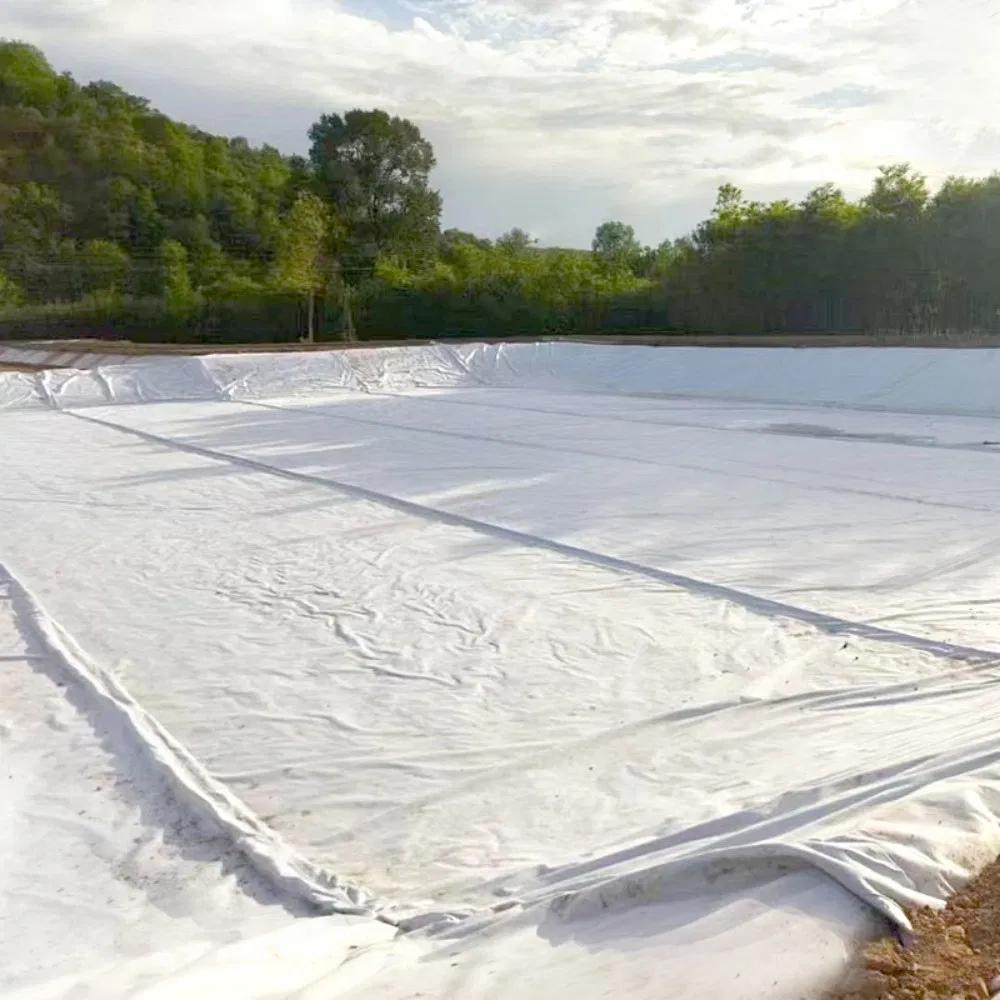 Nonwoven Woven Geotextiles Made From PP and Pet