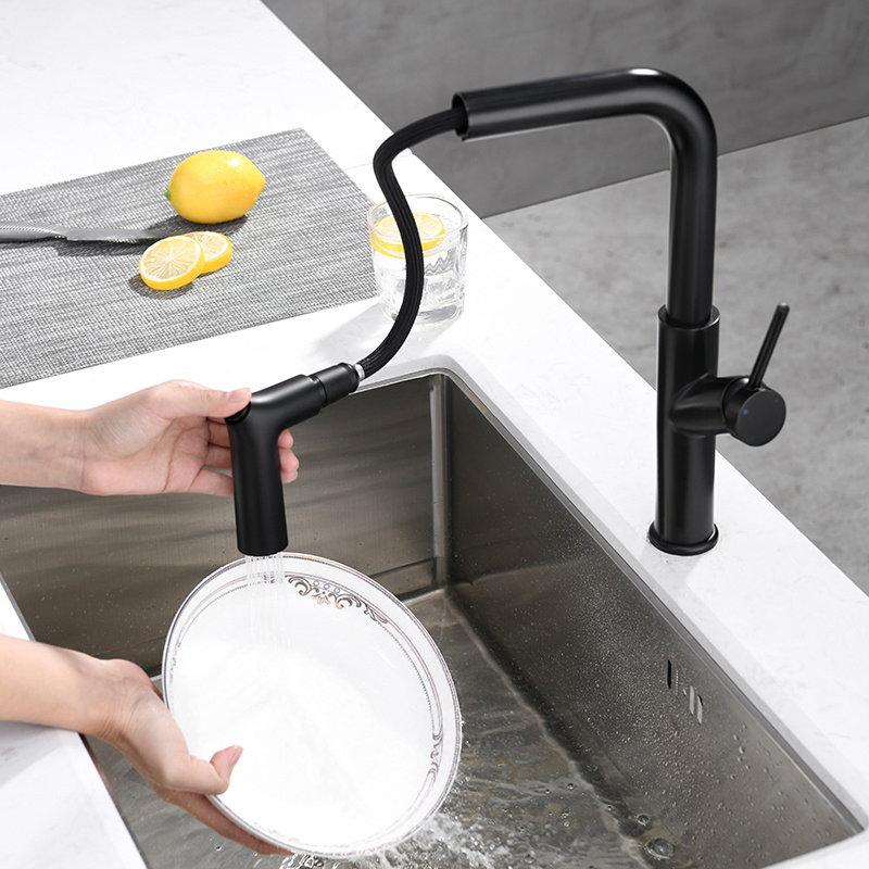 Tiema Luxury Black Water Brass Pull out Sink Kitchen Taps