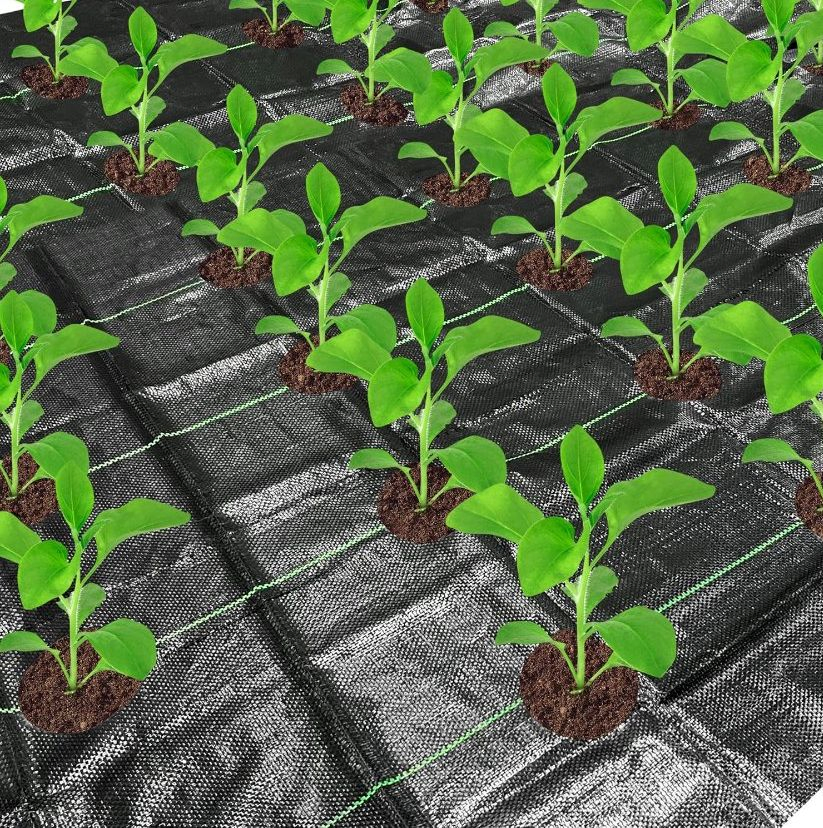 PP PE Black Agricultural Ground Cover Weed Mat for Garden