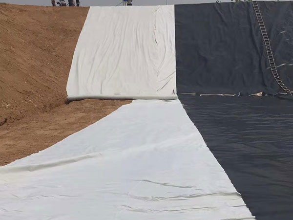 High Strength High Quality Geotextile Drainage Geonet for Vegetation Slope Protection