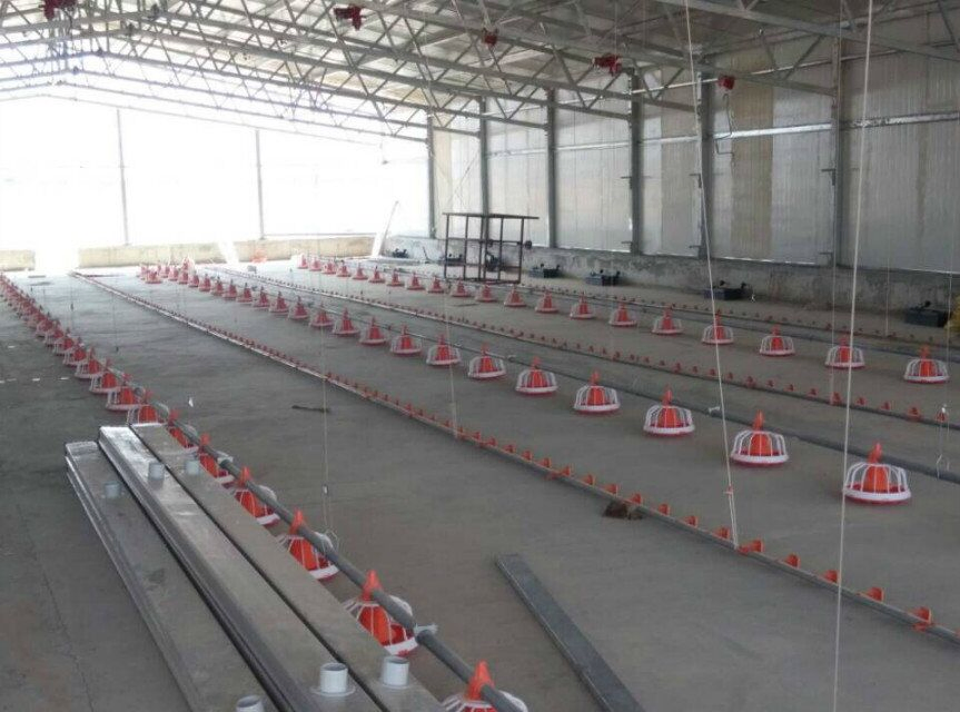 Prefabricated Modern Farmhouse Commercial Broiler House Meat Chicken Coop Supply Poultry Farm Near Me